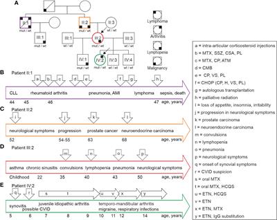 Heterozygous premature termination in zinc-finger domain of Krüppel-like factor 2 gene associates with dysregulated immunity